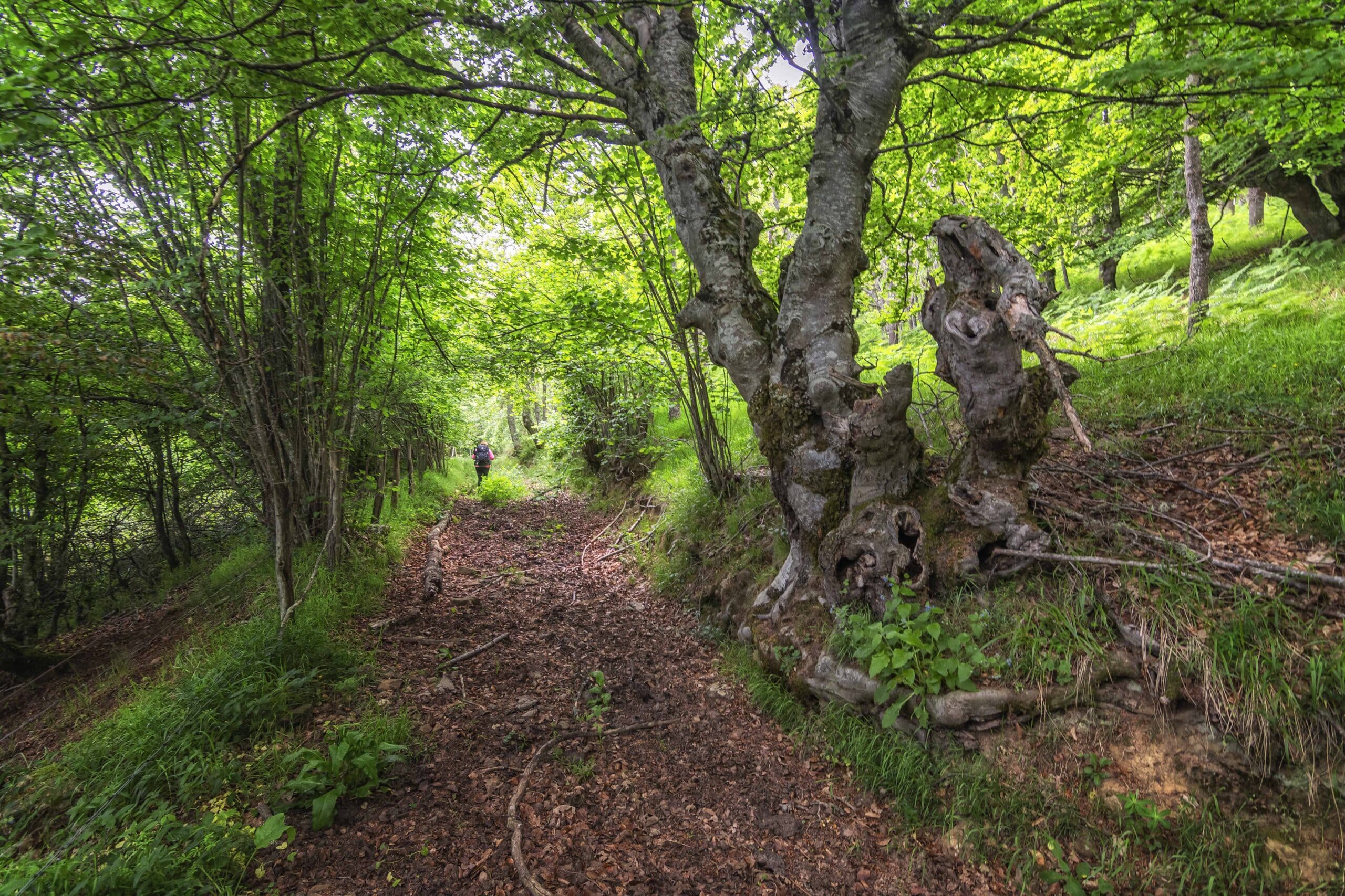 Etapa 02 - Pueblos de Polaciones
